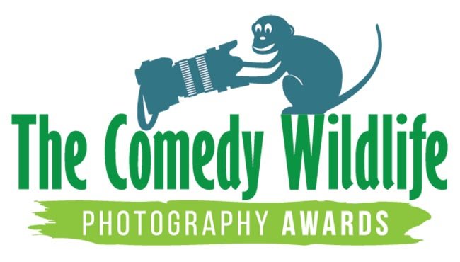 Comedy Wildlife Photo Awards